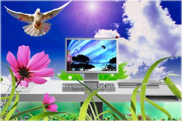 Adobe Project